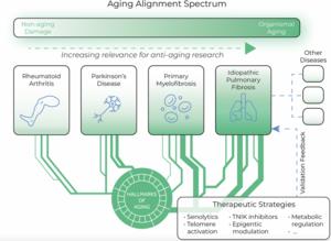 Age-related diseases as a testbed for anti-aging therapeutics: the case of idiopathic pulmonary fibrosis