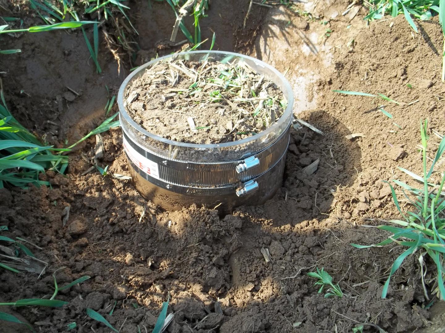 Soil Sample