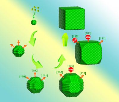 Facet Development of Platinum Nanocube