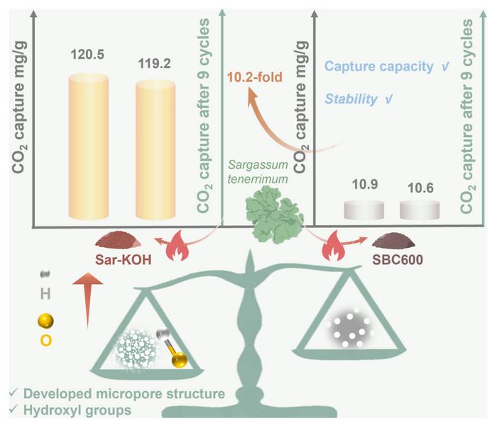 Tailoring the porosity and surface chemistry of Sargassum biochar for enhanced CO2 capture
