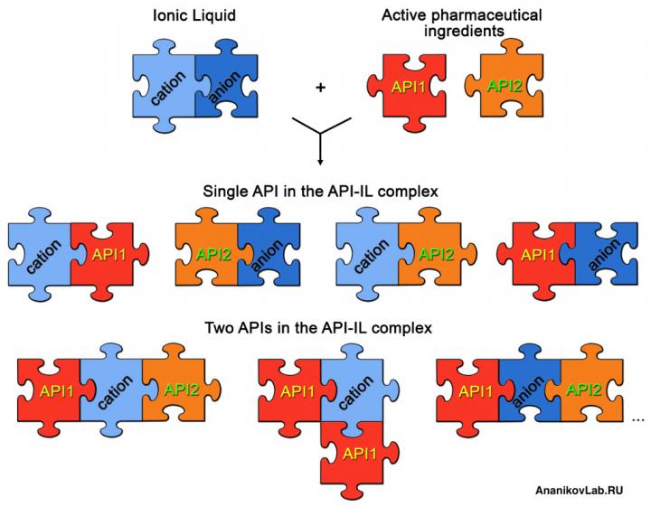 API-IL Concept