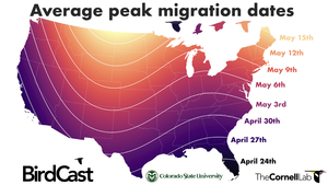 Average Peak Spring Migration Dates