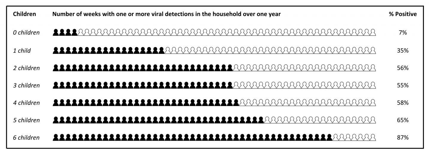 Big Families Share Viruses in a Big Way