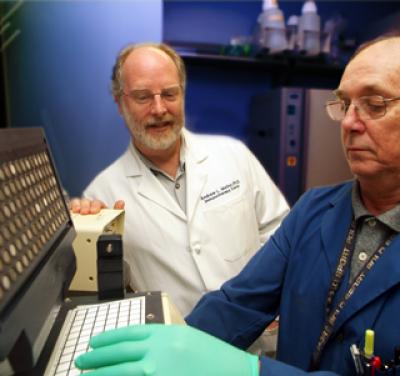 Drs. Andrew Mellor and Phillip Chandler, Medical College of Georgia