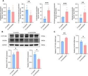 Knockdown of CXCR4 promotes aldosterone synthesis in H295R cells.