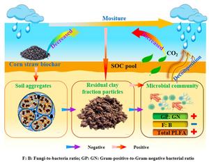Soil organic carbon decomposition in response to moisture, microbial communities, and biochar addition in Alfisols