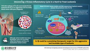 Overview of the inflammatory feedback mechanism discovered in TCF3::HLF-positive B cell acute lymphoblastic leukemia