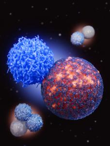 PD-1 deficiency enhances Treg cell pro-tumor function