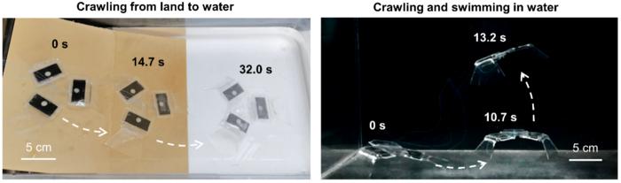 Motion mode transition of the multimodal amphibious robot