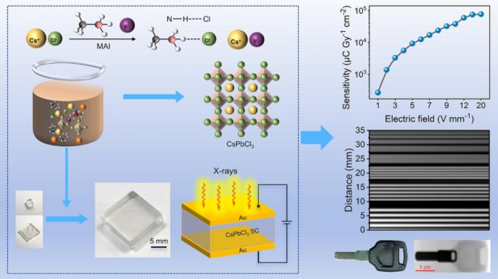 Amine‑Salt‑Assisted Solution Crystallization of Inorganic Perovskite Single Crystals for High‑Performance X‑Ray Detection