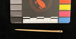 Bone needle