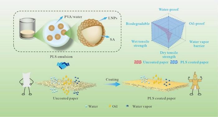 Lignin Nanoparticles Enable Recyclable Paper to Rival Plastic Packaging