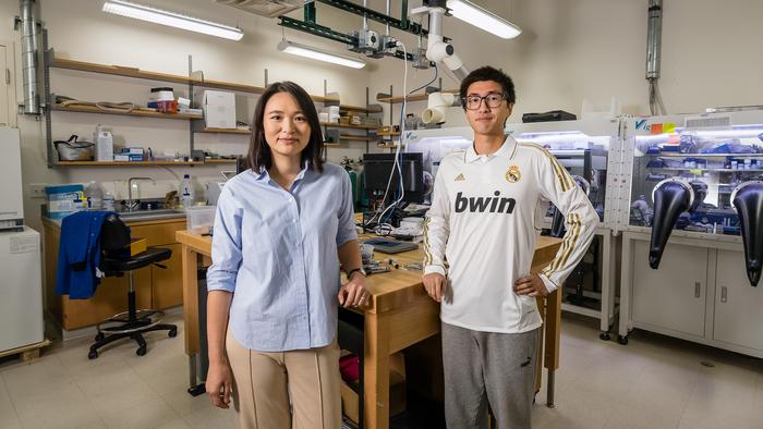 Assistant Professor Fang Yiu and PhD student Qianli Xing