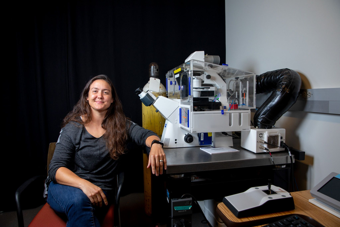Shelly Peyton, chemical engineering, UMass Amherst