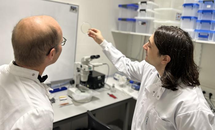 Photo of researchers Jeroen van Zon and Burak Demirbas