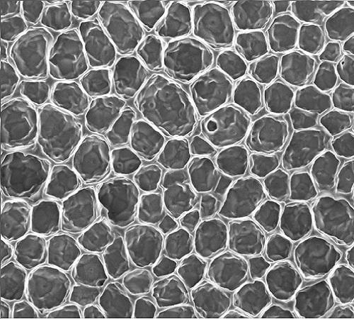 Honeycomb Structure (2 of 3)