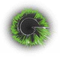 Metagenomic Expansion of the Diversity of the Nucleocytoplasmic Large DNA Viruses