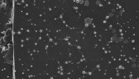 Tungsten Polyoxometalates II