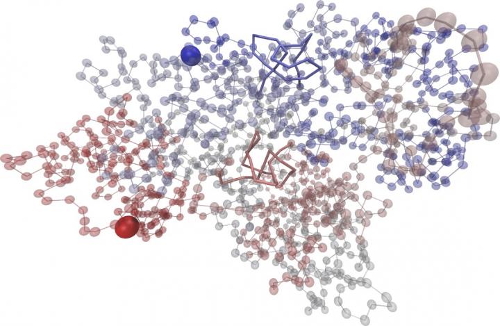 Chromosome 14