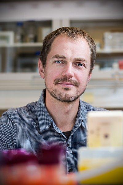 Alexander Zelikin, Aarhus University