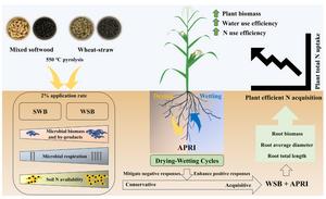 Contrasting residual effects of different biochar types on maize nitrogen uptake, biomass accumulation, water and nitrogen use efficiency under alternate partial root-zone drying irrigation