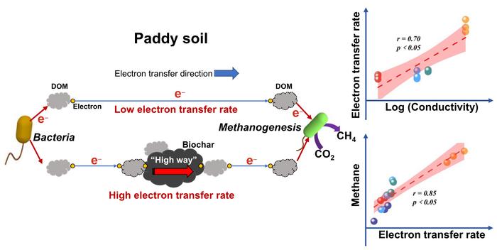 Biochar conductivity enhances methane generation in paddy soil by facilitating electron transfer mediated by dissolved organic matter