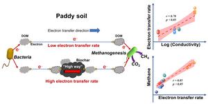 Biochar conductivity enhances methane generation in paddy soil by facilitating electron transfer mediated by dissolved organic matter