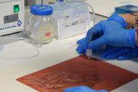 Sampling Microbiome