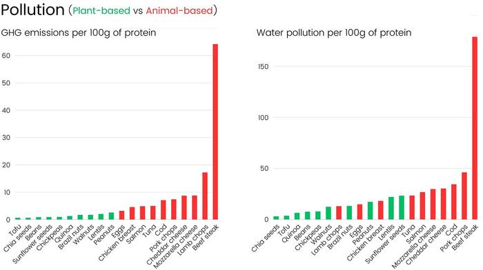 Two bar charts comparing greenhouse gas emissions and water pollution produced by plant-based and animal-based protein sources per 100 g of protein.