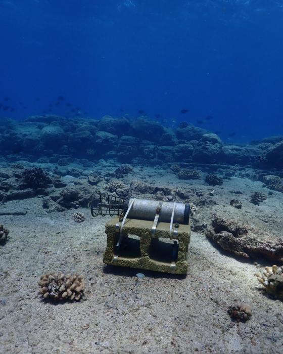 Acoustic recorder used to capture ocean sounds