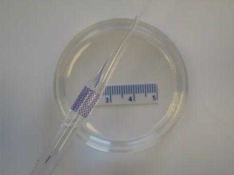 Injecting the Scaffold