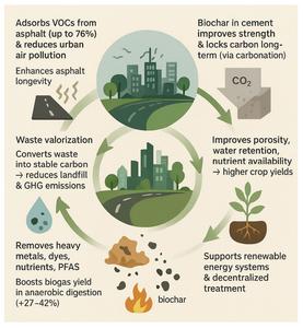 Global applications of biochar in sustainable cities of the future: a perspective