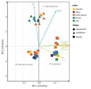 Mean principal component scores of fishes from 14 river basins, derived from their seven life history traits.