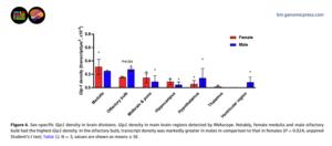 Sex–specific Glp1 density in brain divisions.