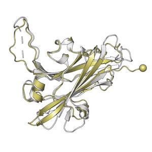 Protein structures