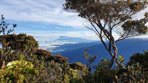 Sabah's Western highlands