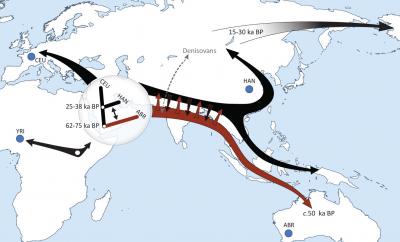 Aboriginal Australian Genome Sequenced (1 of 9)