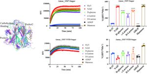 Binding Pocket for NAD+ and Oligosaccharides and Their Functional Impact on Amuc_1547 Activity.