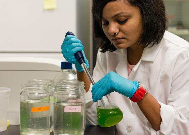 Namrata Sengupta, Clemson University