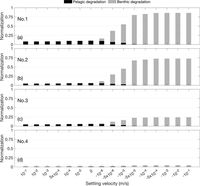Relationships between degradation parameters, settling velocity, and the normalized masses of MPs.
