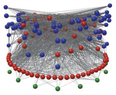 Parasites Alter Food Web Structures in Expected and Unexpected Ways