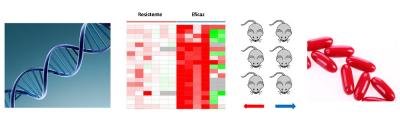 Personalized Therapies in Advanced Cancer Patients According to Tumor Genetic Analysis