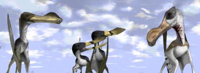 Ornithocheiroids