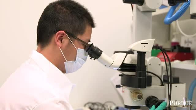 Research to Use MRI and Electrical Stimulation to cure digestive disorders
