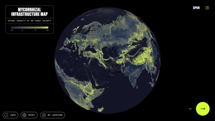 Mapa global de la densidad de hifas de los hongos micorrícicos arbusculares
