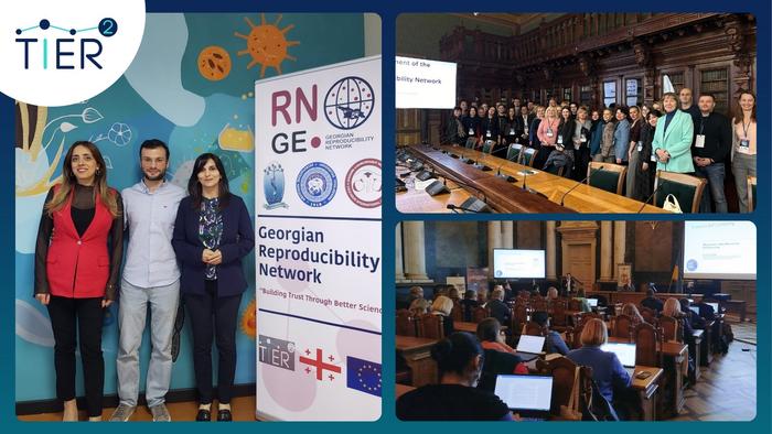 The Georgian Reproducibility Network and the Ukrainian Reproducibility Network