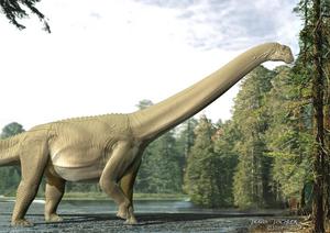 Sauropod feeding