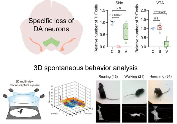 Subtle movement alterations detected using 3D spontaneous behavior analysis system