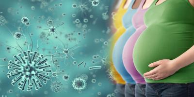 Pregnancy Compensation Hypothesis