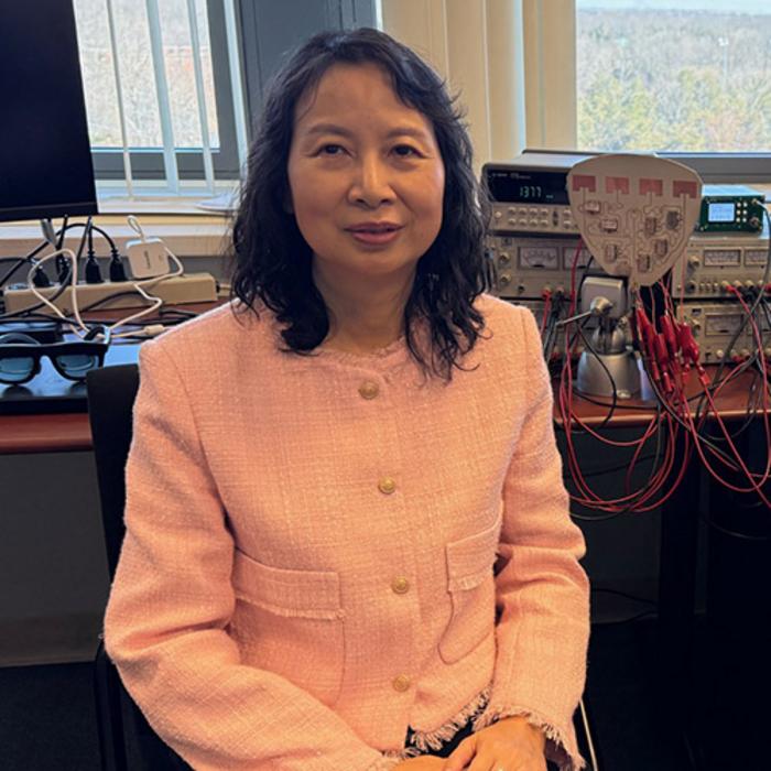 Professor Yingying Chen